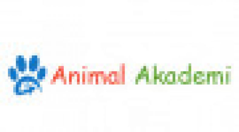 Animal Akademi Şikayet